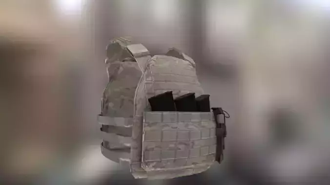 Wartech TV-110 Platecarrier Multicam AK Low-poly 3D model