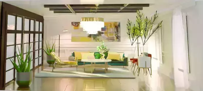 Modern Elegant living room