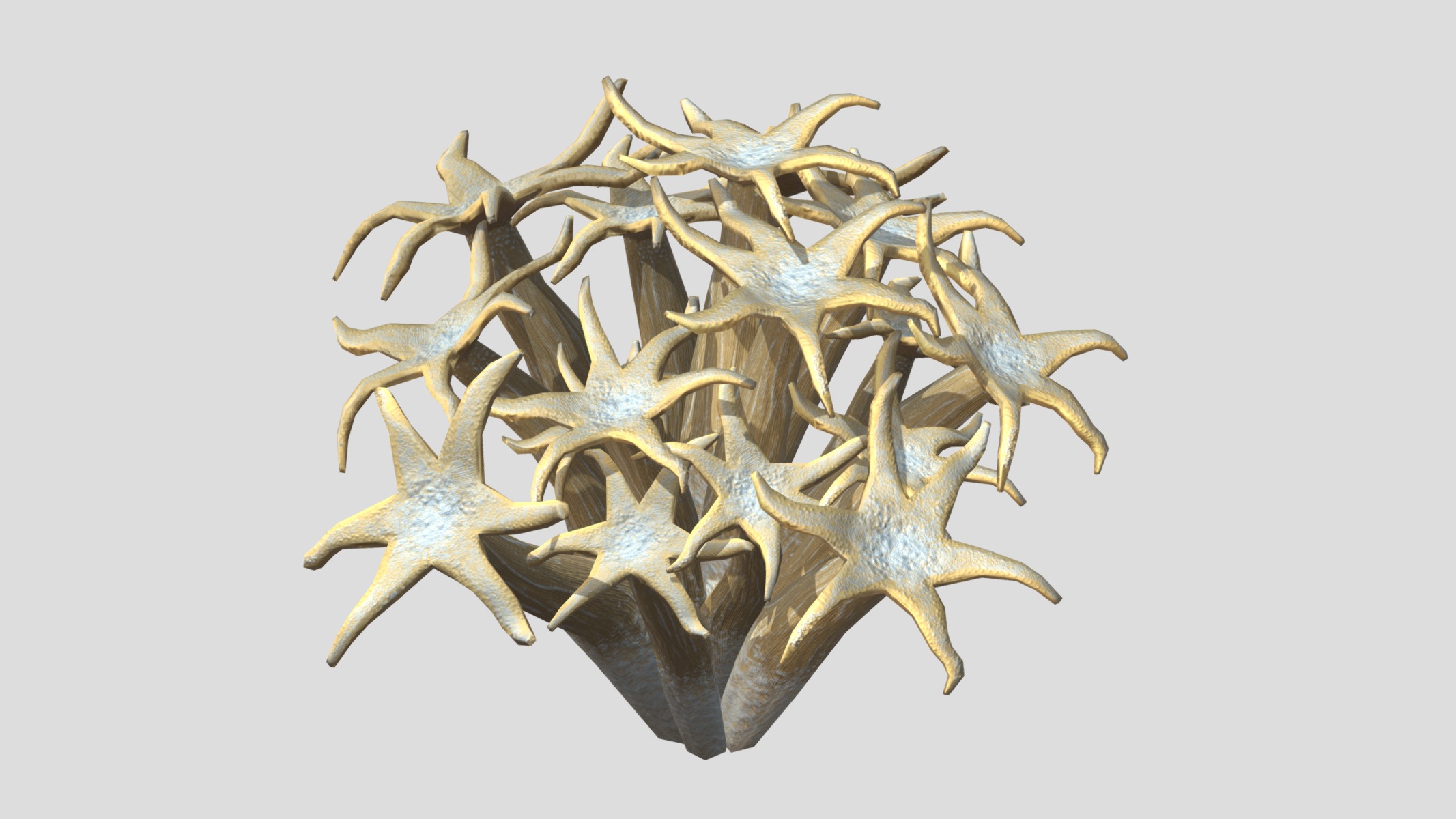 Organ Pipe Coral Low Poly Low-poly 3D model_2