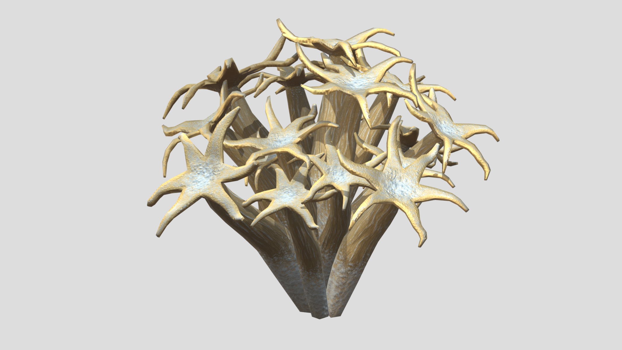 Organ Pipe Coral Low Poly Low-poly 3D model_8