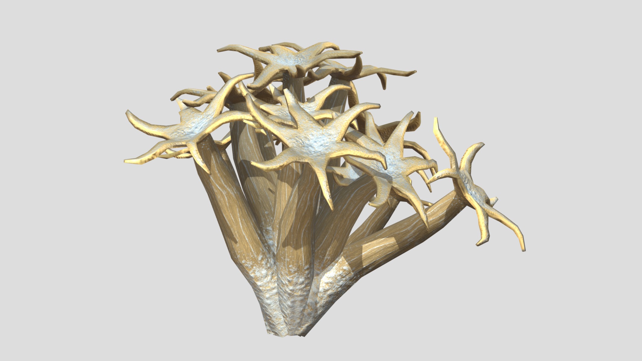 Organ Pipe Coral Low Poly Low-poly 3D model_6