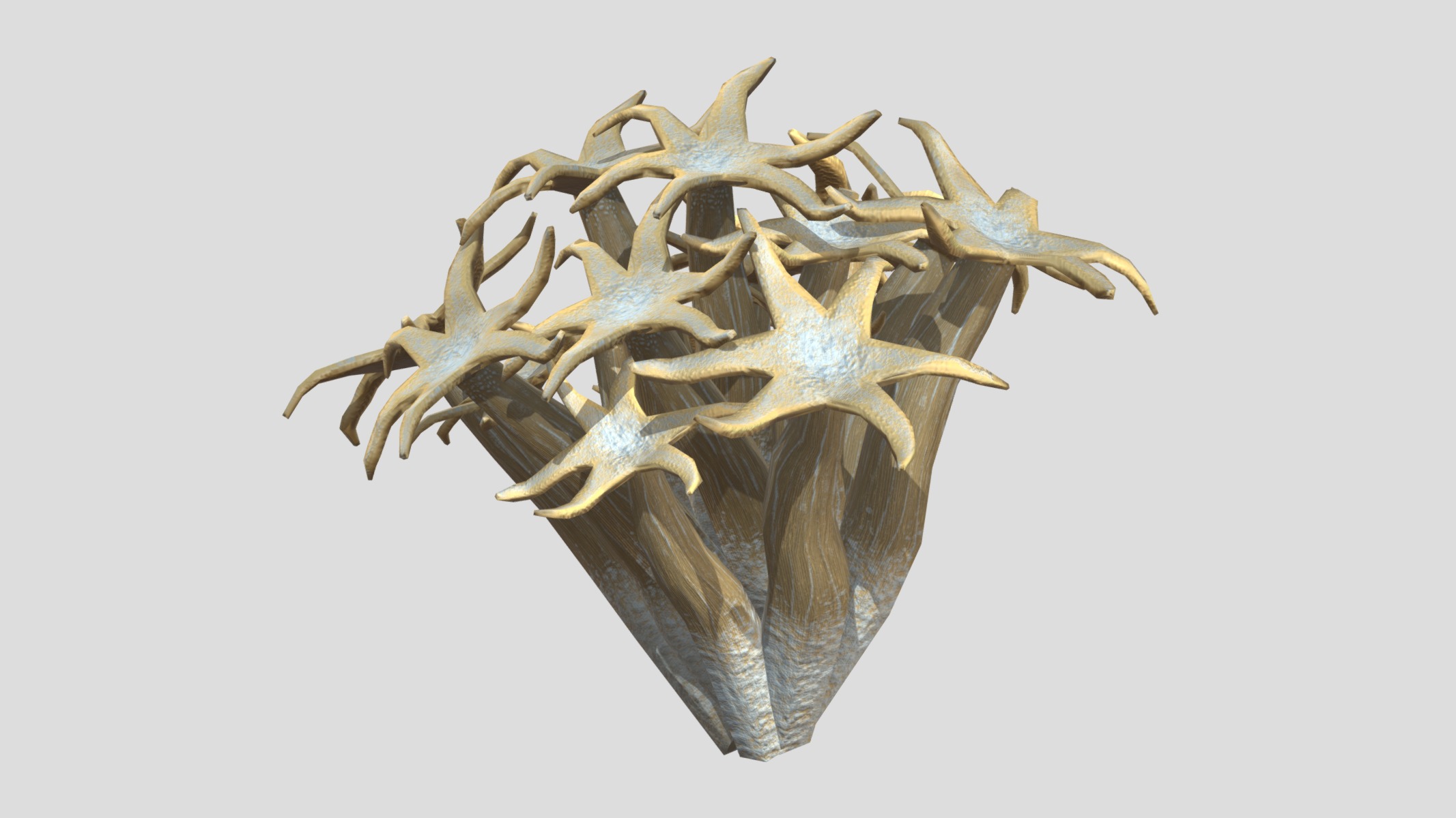 Organ Pipe Coral Low Poly Low-poly 3D model_12