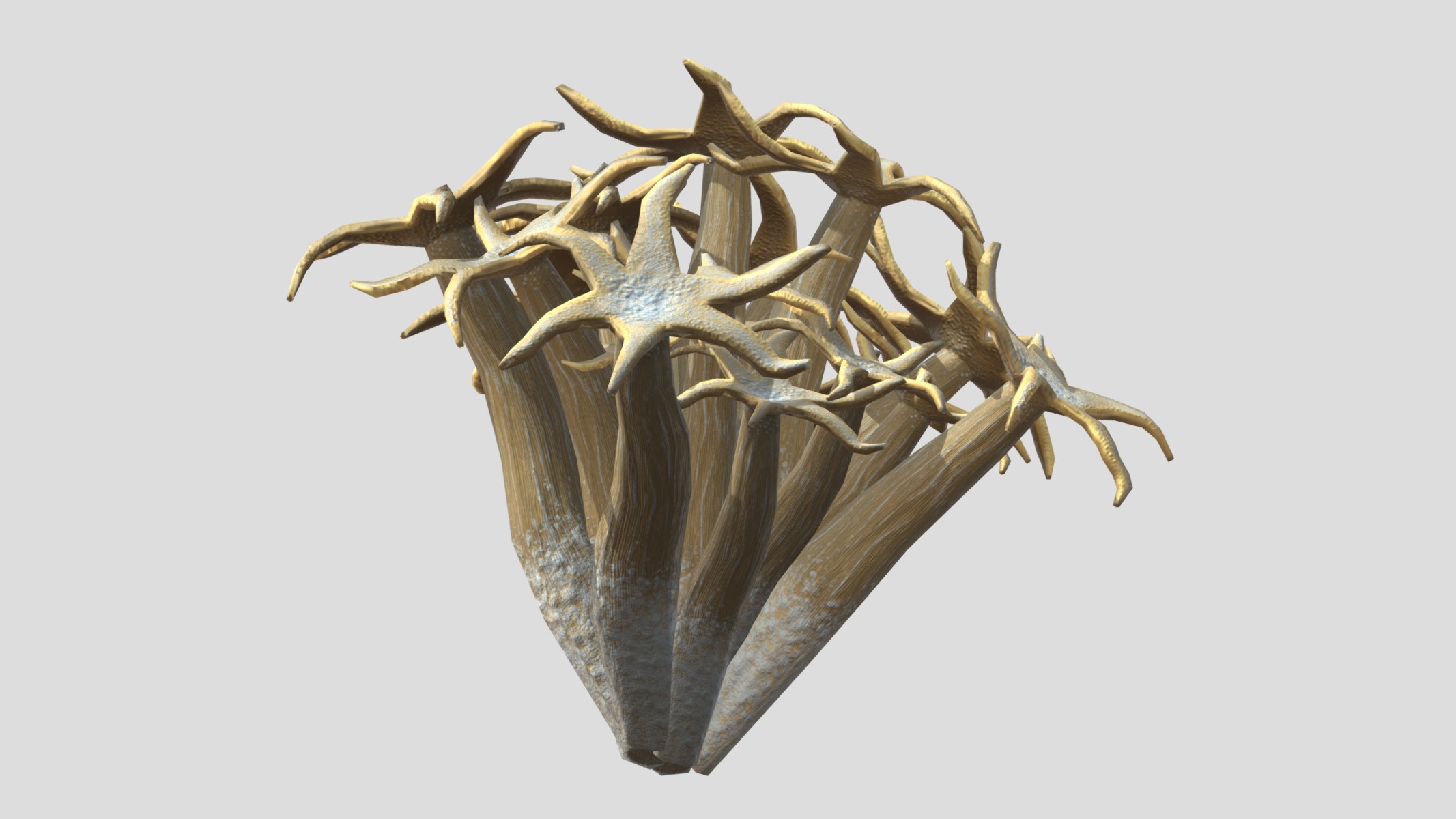 Organ Pipe Coral Low Poly Low-poly 3D model_4