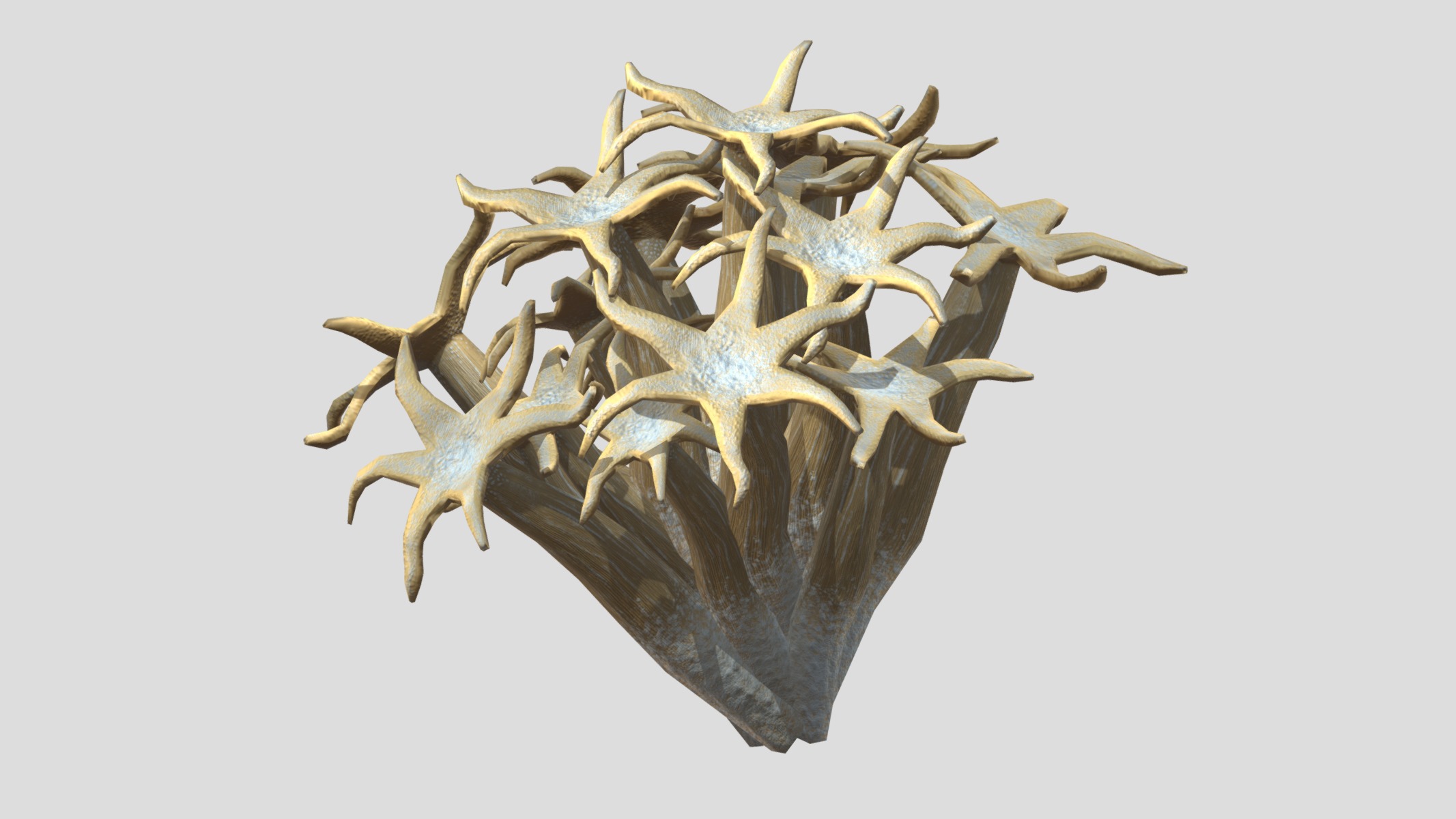 Organ Pipe Coral Low Poly Low-poly 3D model_10