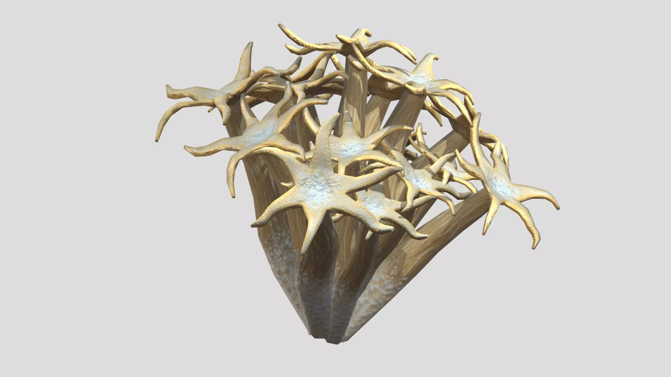 Organ Pipe Coral Low Poly Low-poly 3D model_0