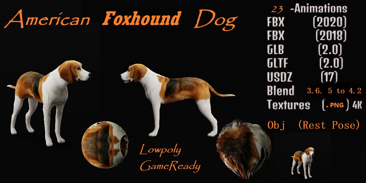 American Foxhound Dog Low-poly 3D model_15