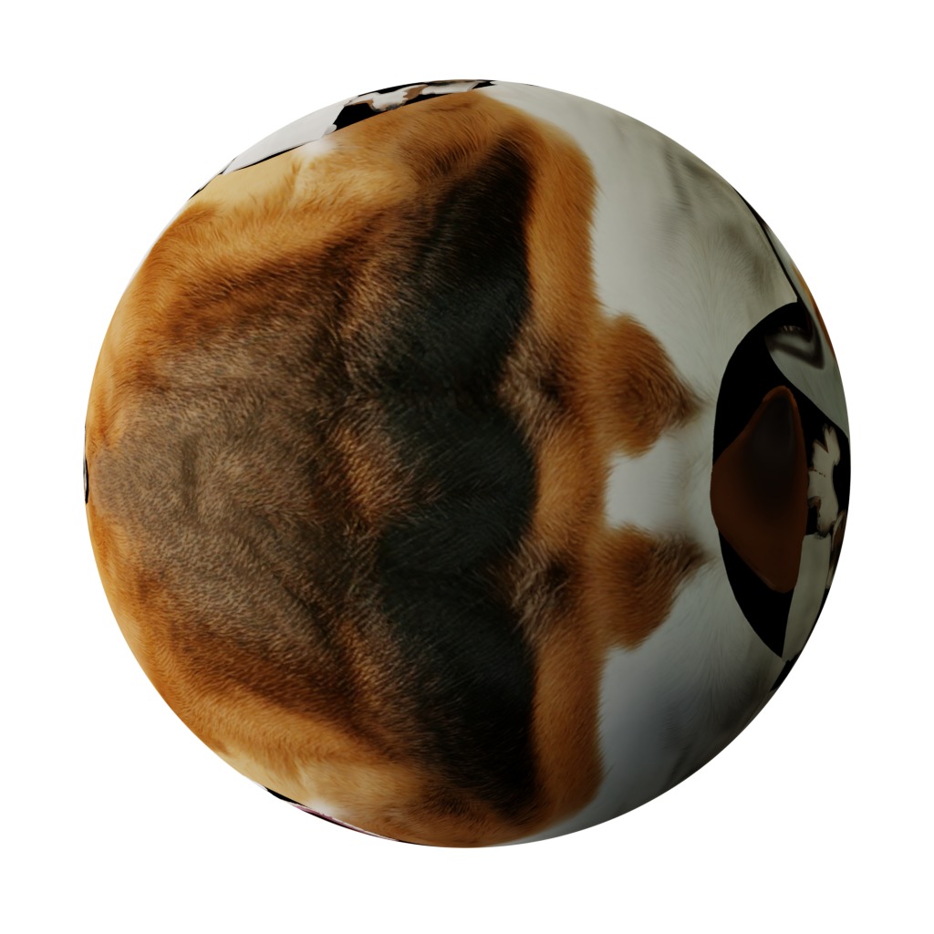 American Foxhound Dog Low-poly 3D model_28