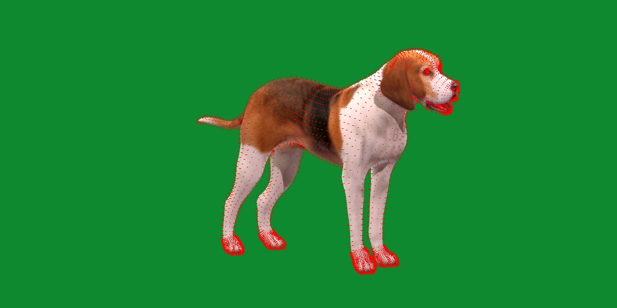 American Foxhound Dog Low-poly 3D model_11