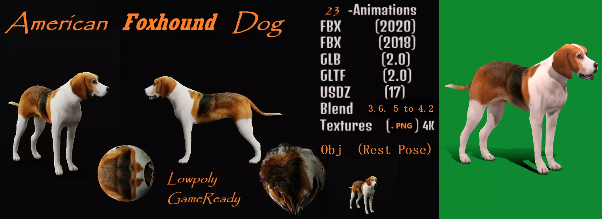 American Foxhound Dog Low-poly 3D model_0
