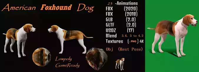 American Foxhound Dog Low-poly 3D model