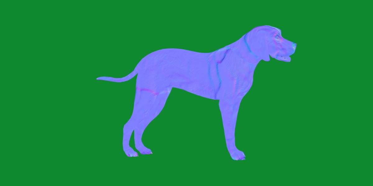 American Foxhound Dog Low-poly 3D model_3