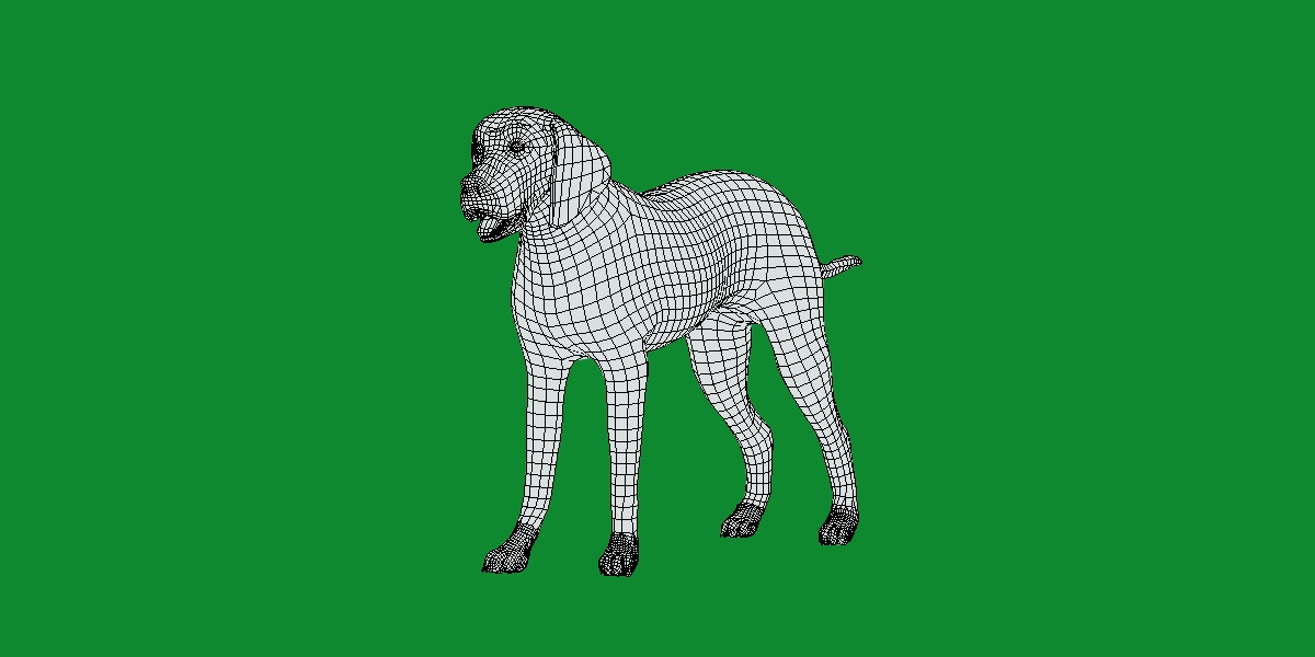 American Foxhound Dog Low-poly 3D model_9