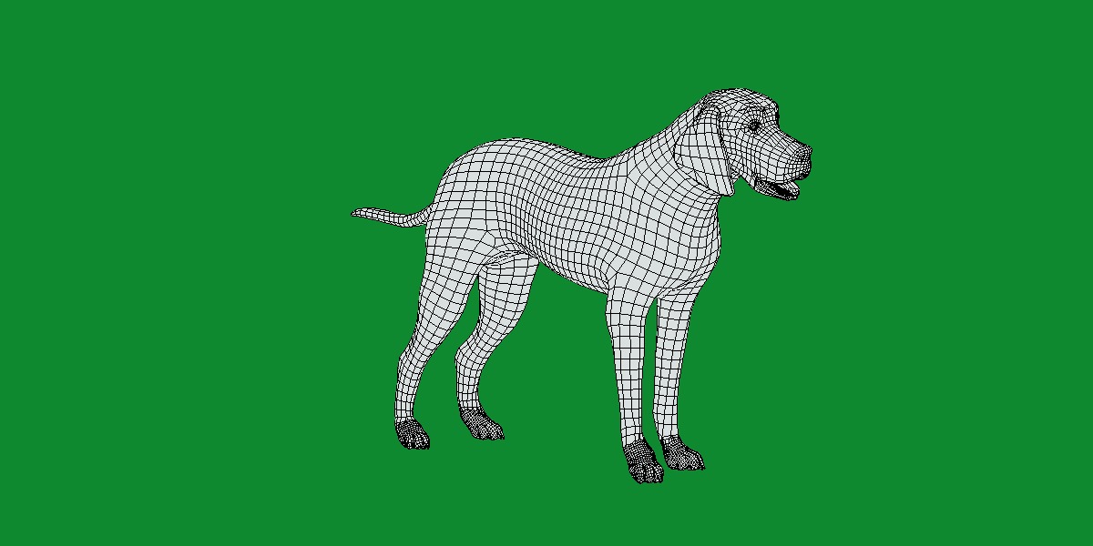 American Foxhound Dog Low-poly 3D model_10