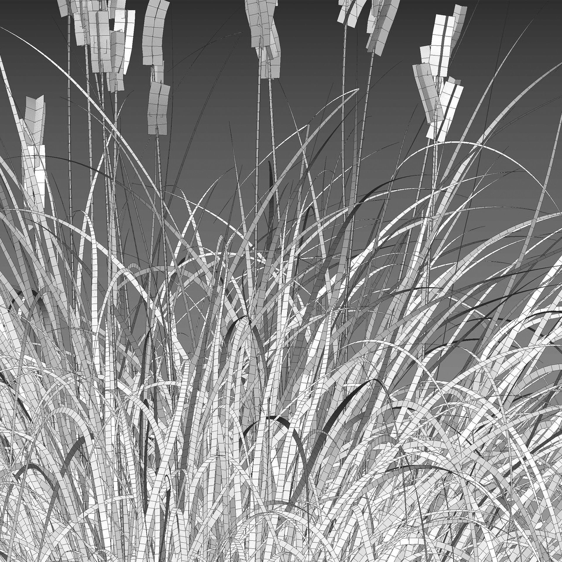 Carex elata - Bowles Golden Sedge Low-poly 3D model_9