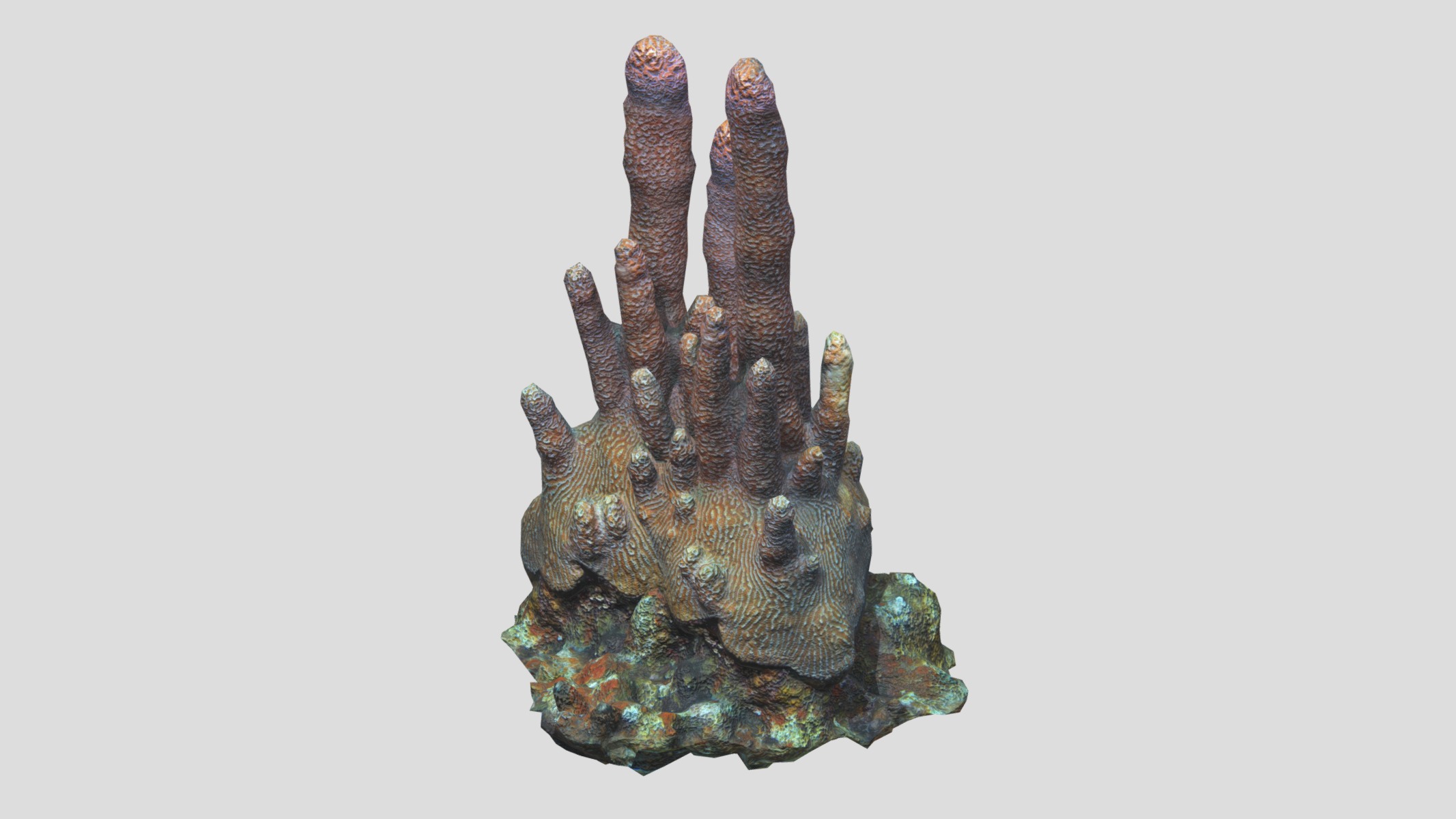 Pillar Coral Low Poly Low-poly 3D model_4