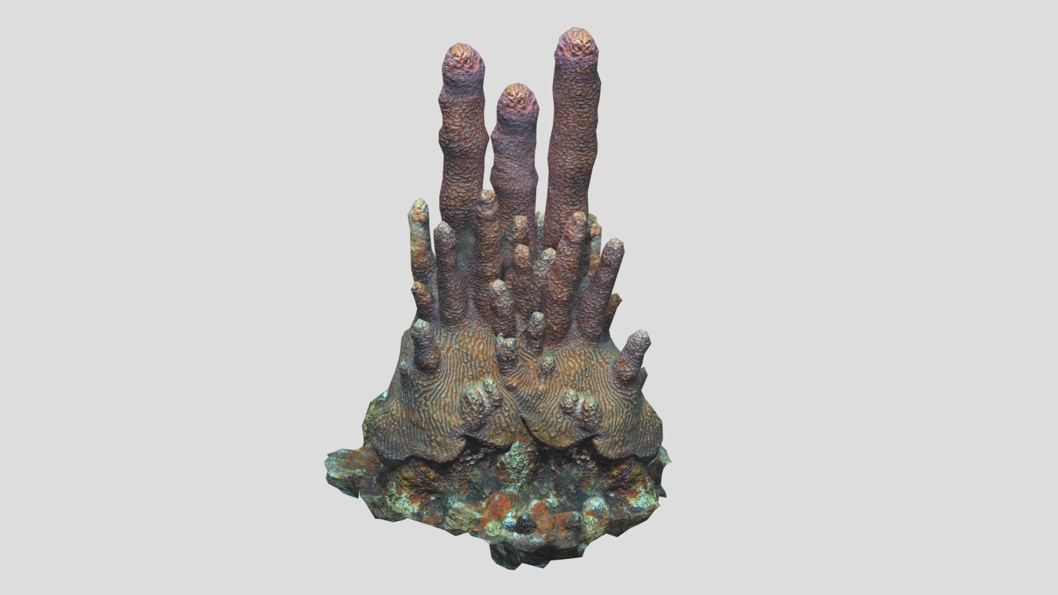Pillar Coral Low Poly Low-poly 3D model_2