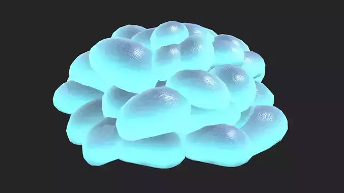 Plerogyra sinuosa Low Poly Low-poly 3D model