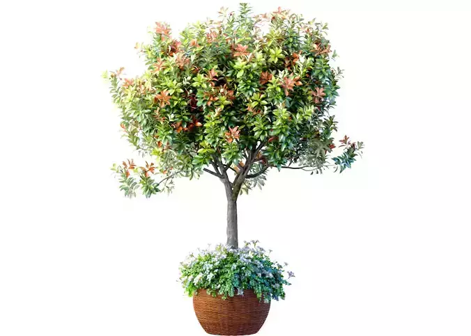 Decorative tree with a flowerbed in rattan garden pot flowerpot