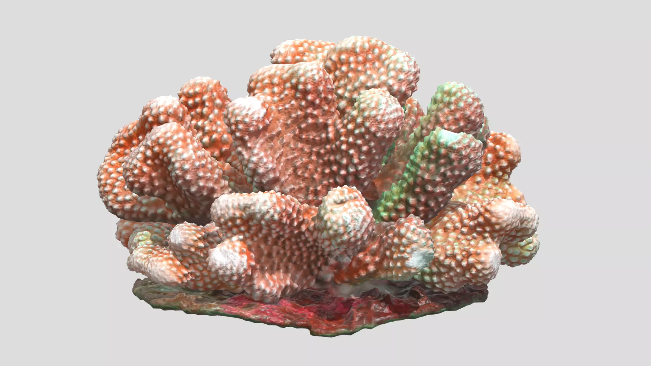 Pocillopora coral Low Poly Low-poly 3D model_0