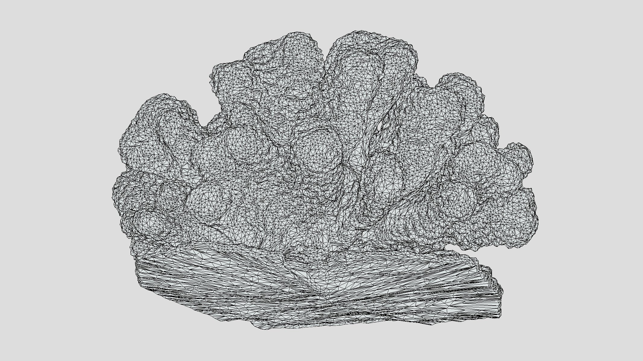 Pocillopora coral Low Poly Low-poly 3D model_11