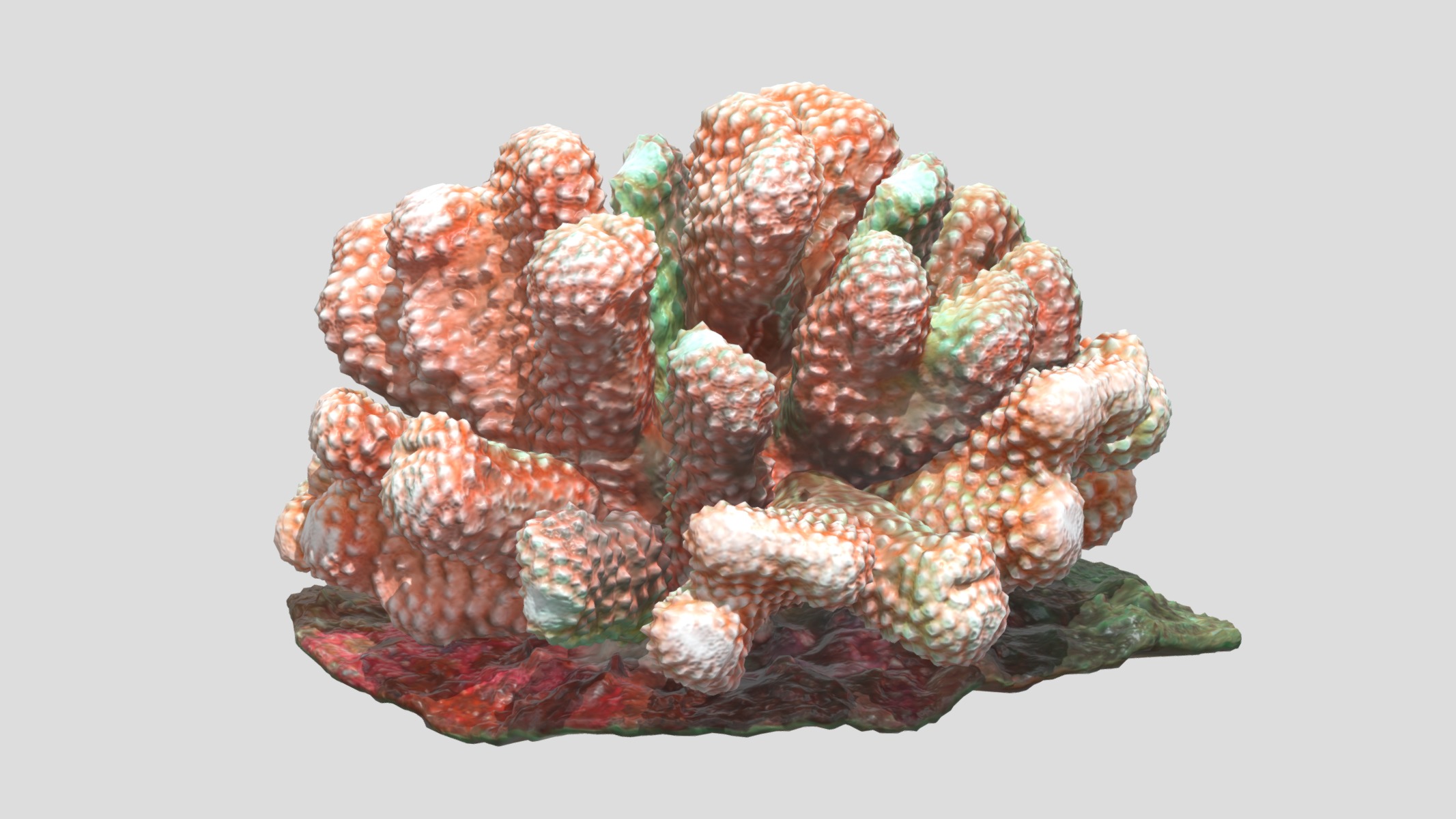 Pocillopora coral Low Poly Low-poly 3D model_2