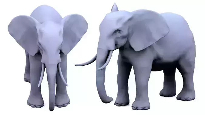 Elephant 3D Model