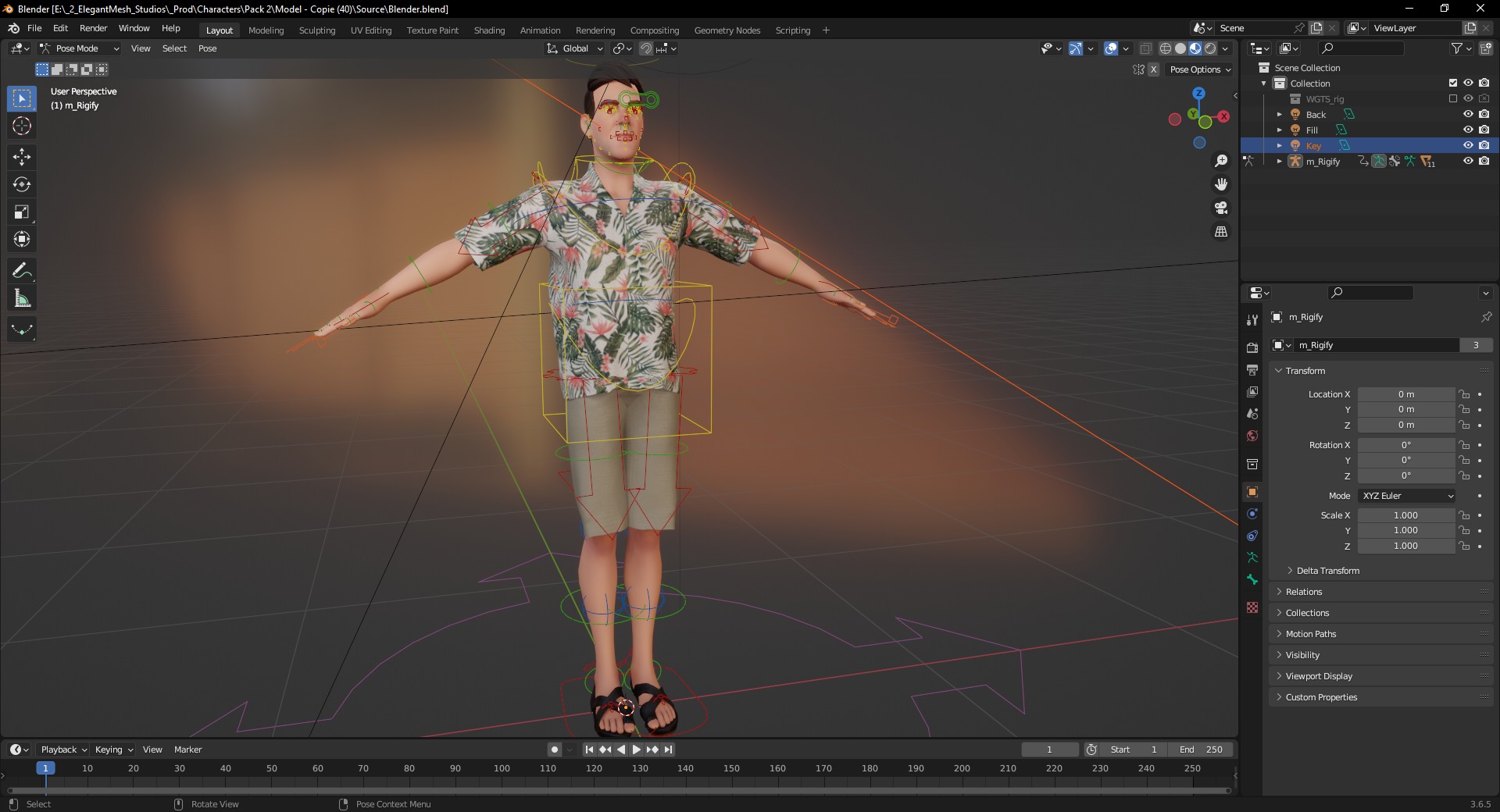 Stylized realism male celebration in Hawaiian shirt with energy  Low-poly 3D model_21