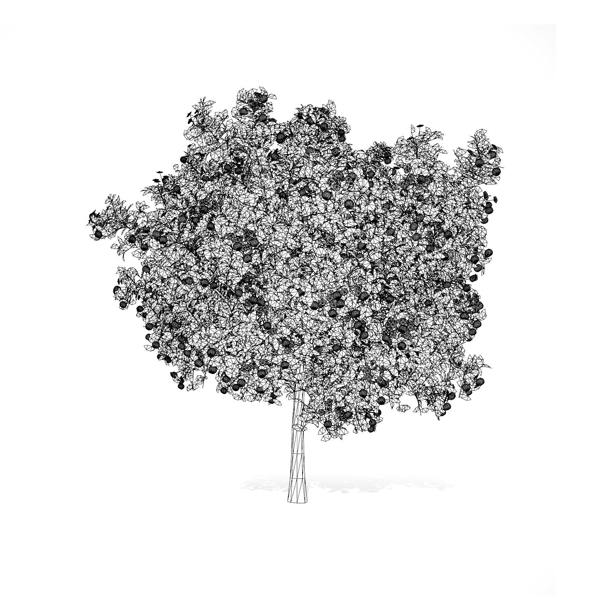 Orange Trees 3D Model Low-poly 3D model_8