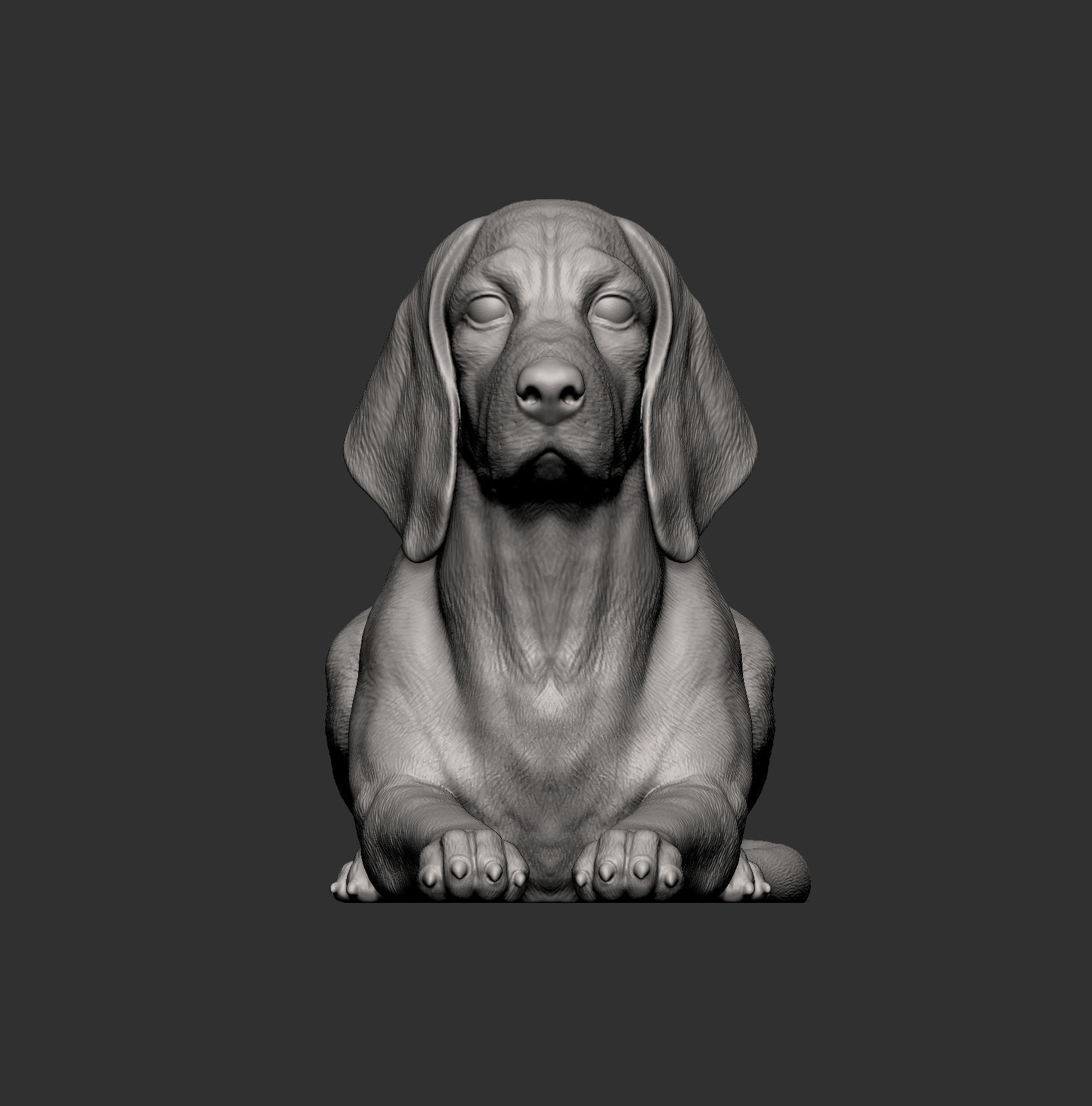 beagle is lying down 3D print model_8