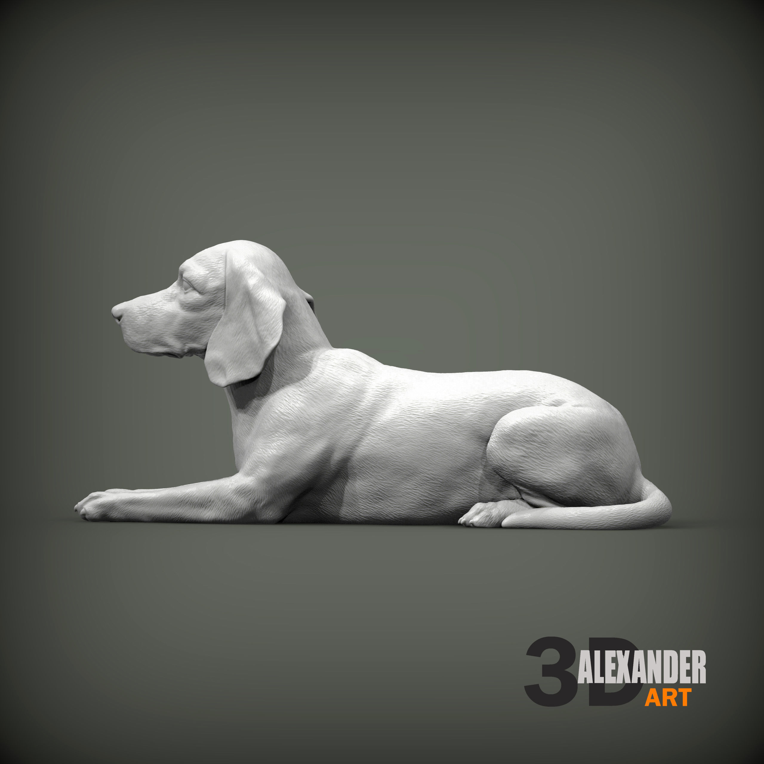 beagle is lying down 3D print model_1