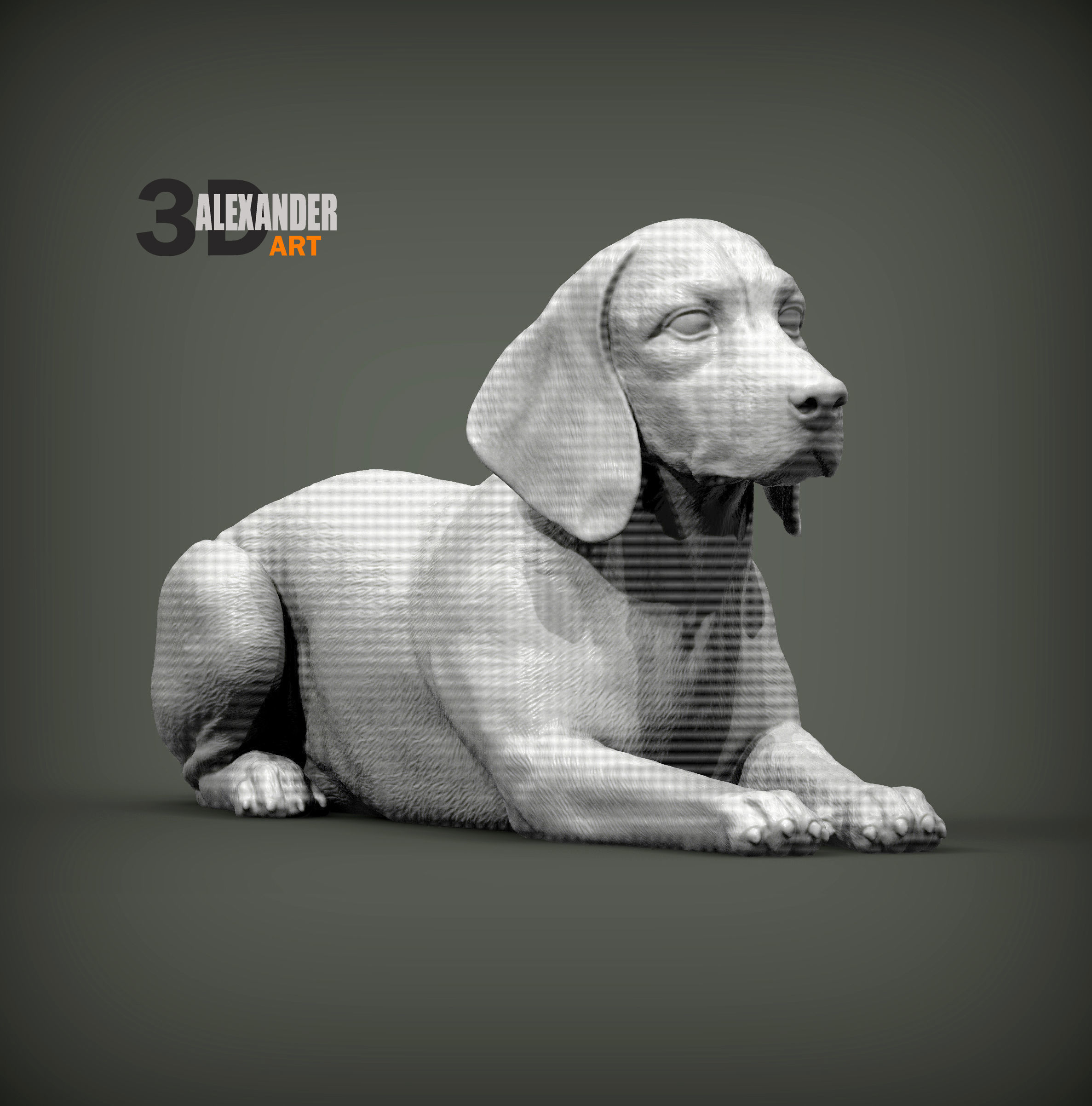 beagle is lying down 3D print model_3