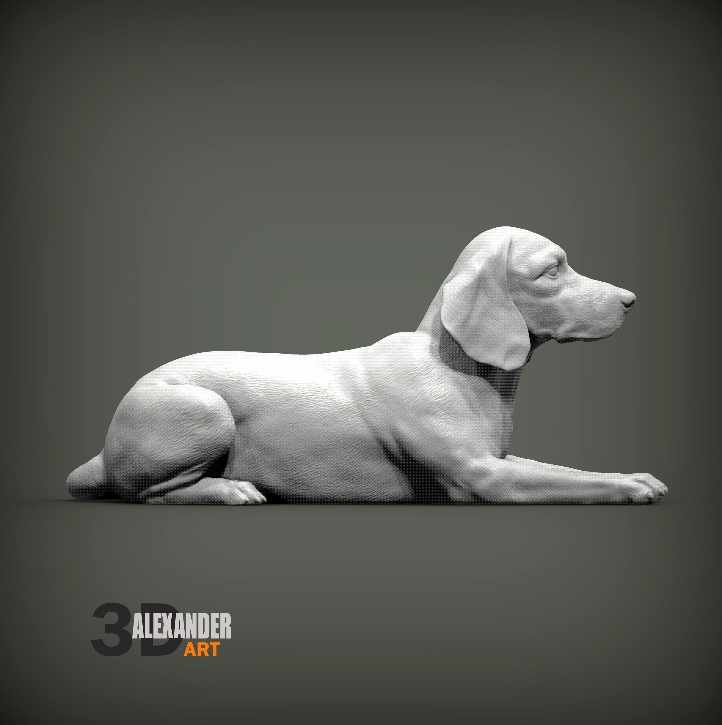 beagle is lying down 3D print model_4
