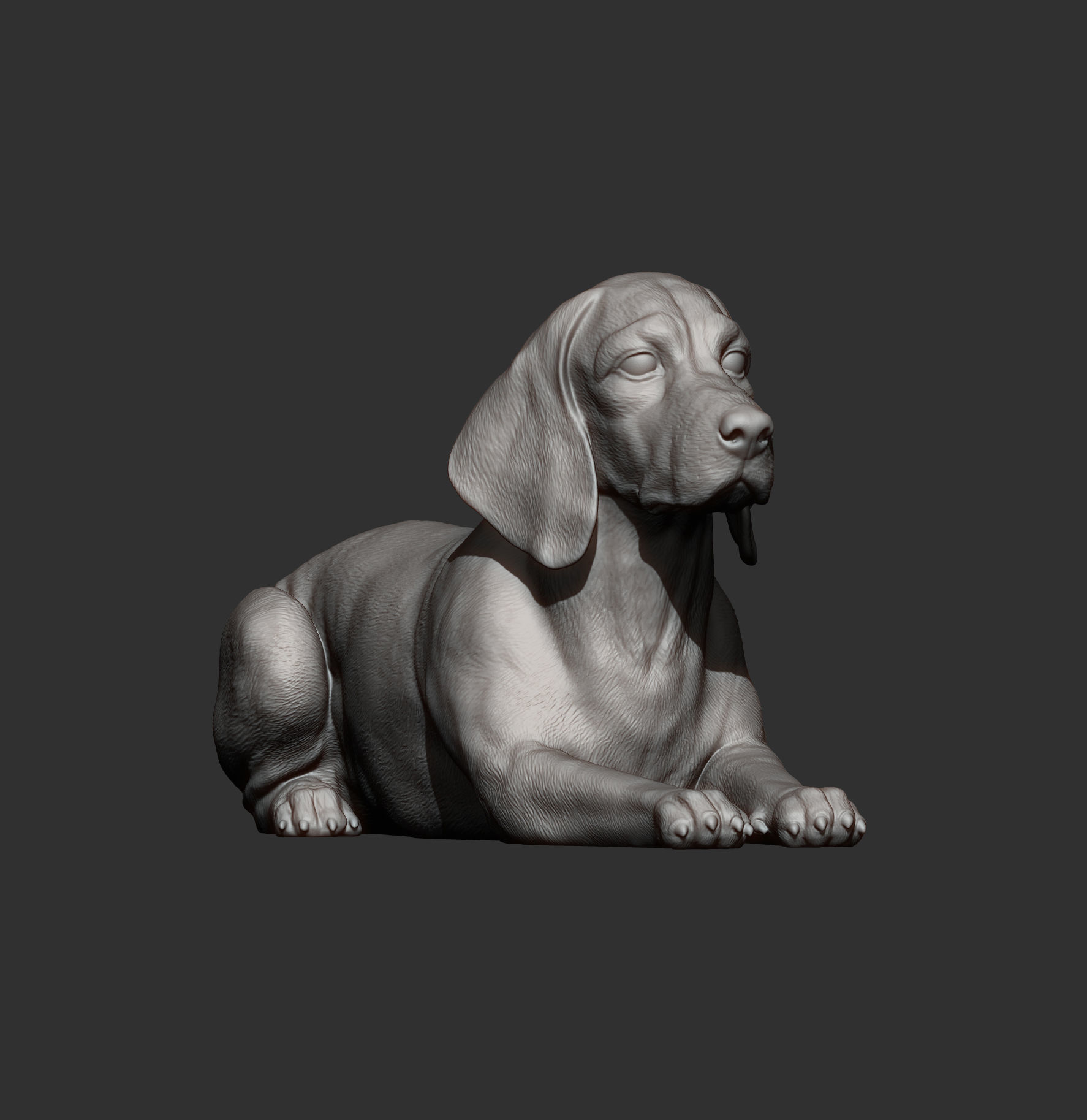 beagle is lying down 3D print model_7