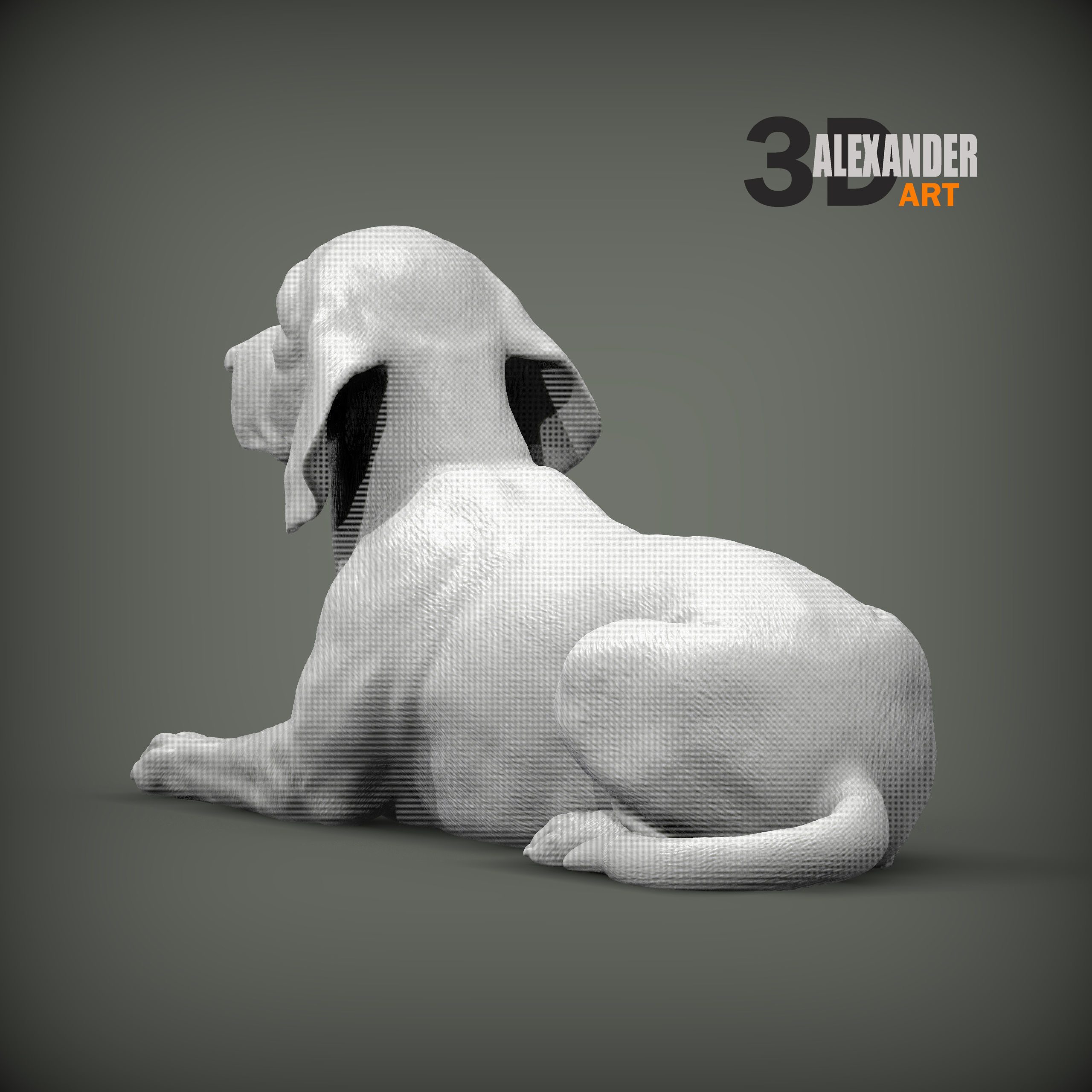 beagle is lying down 3D print model_2