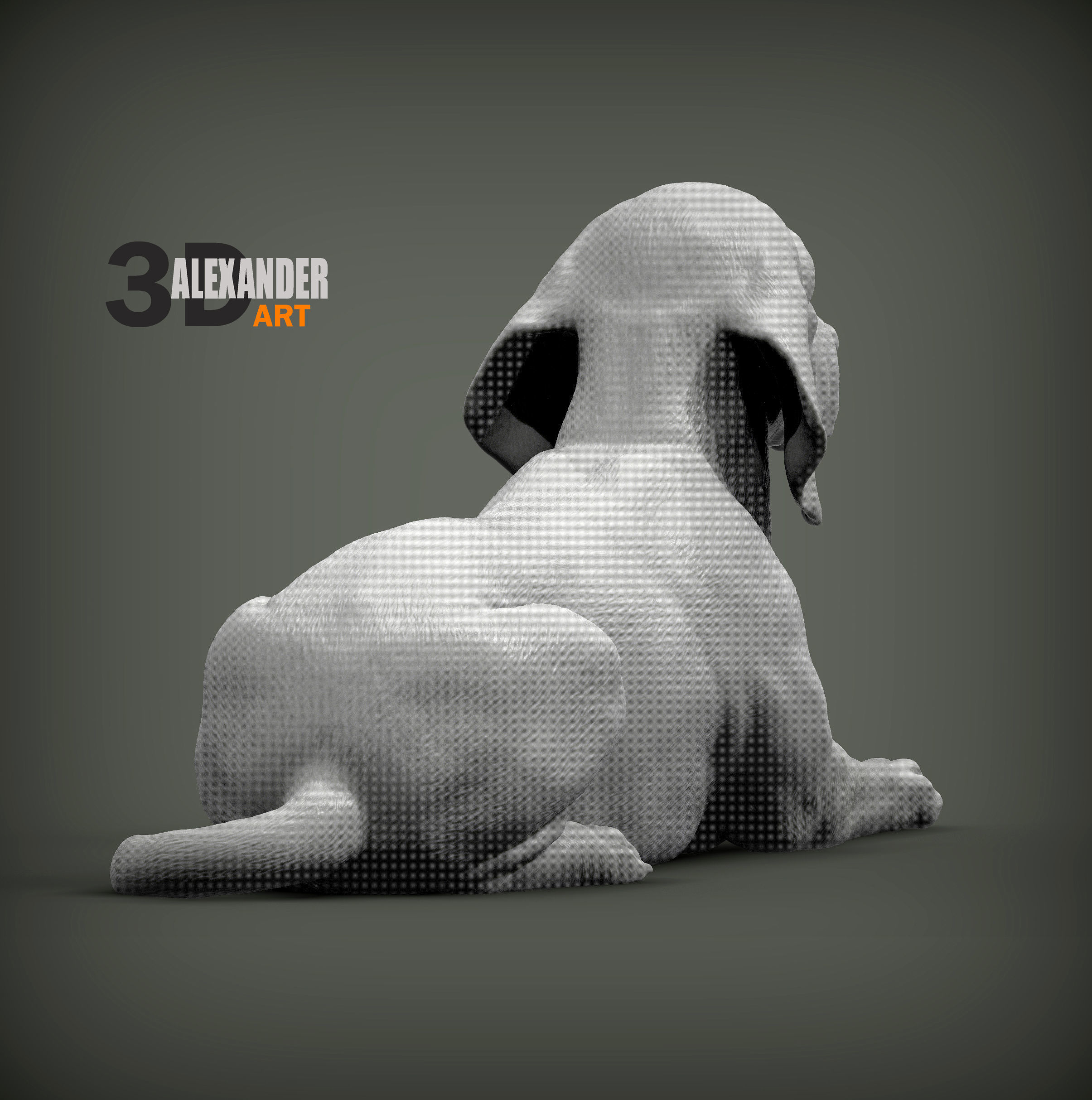 beagle is lying down 3D print model_5