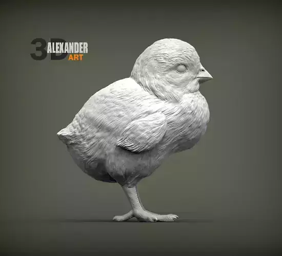 Chick 3D print model