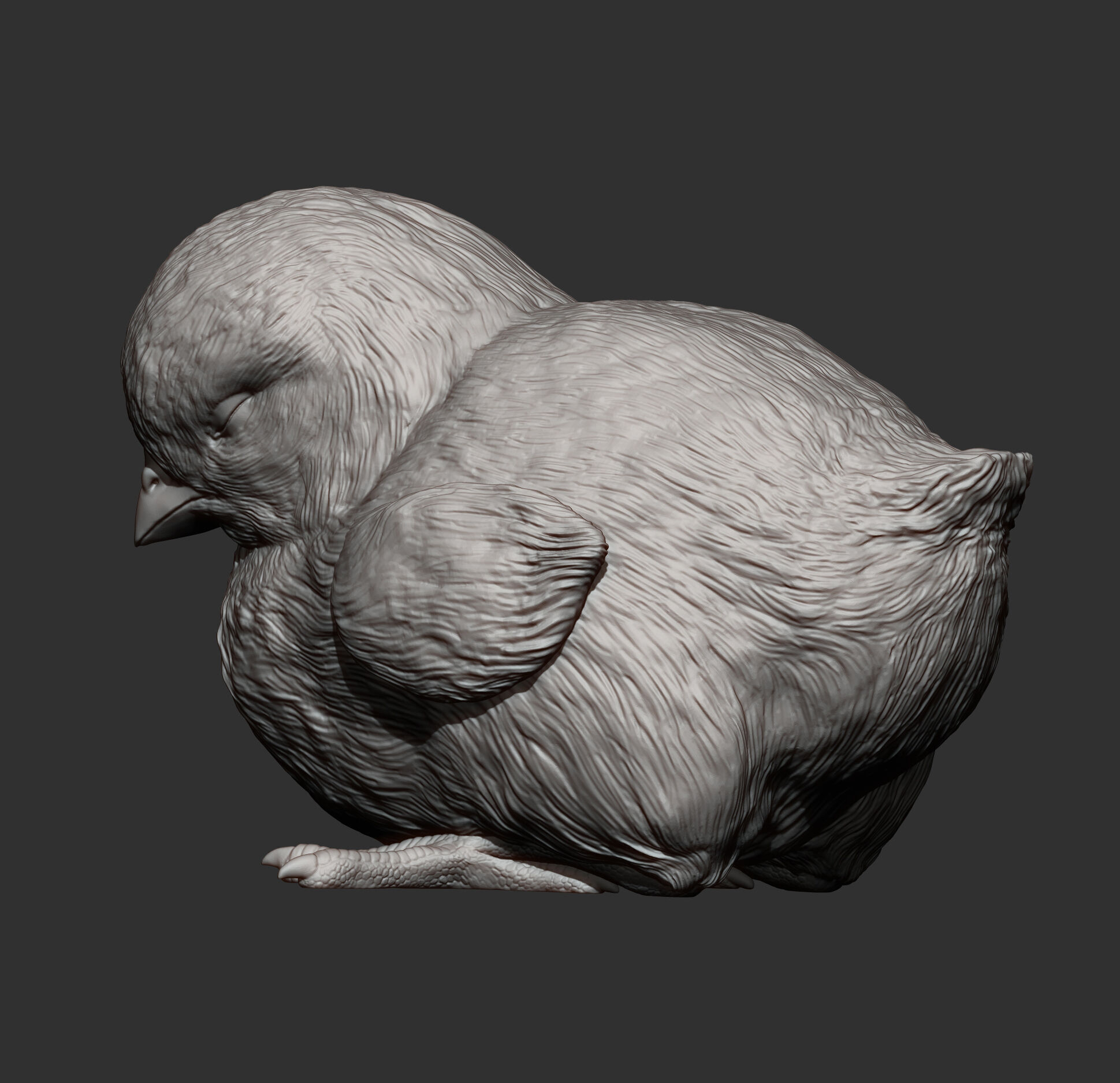 chick is sleeping 3D print model_7