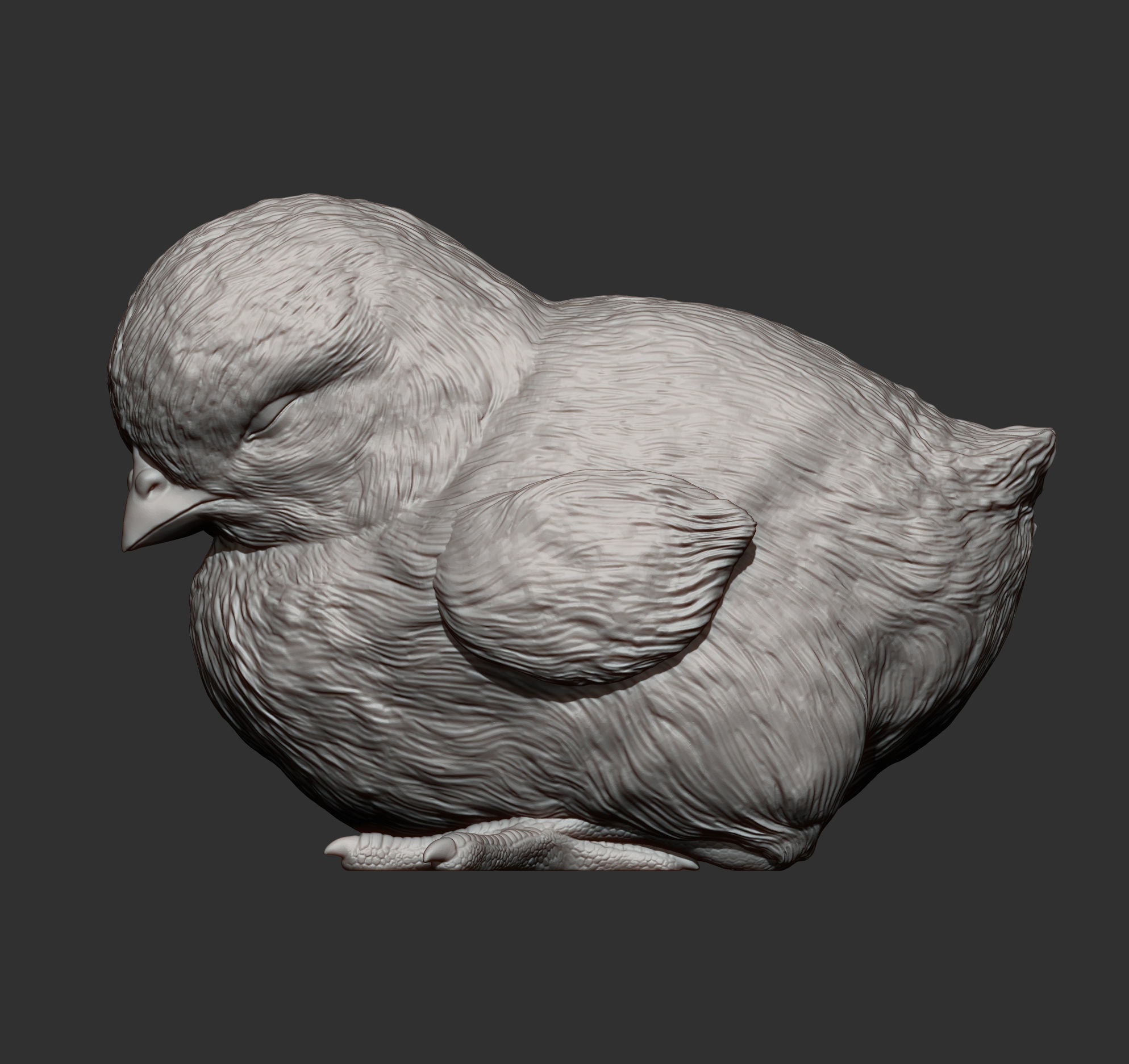 chick is sleeping 3D print model_9