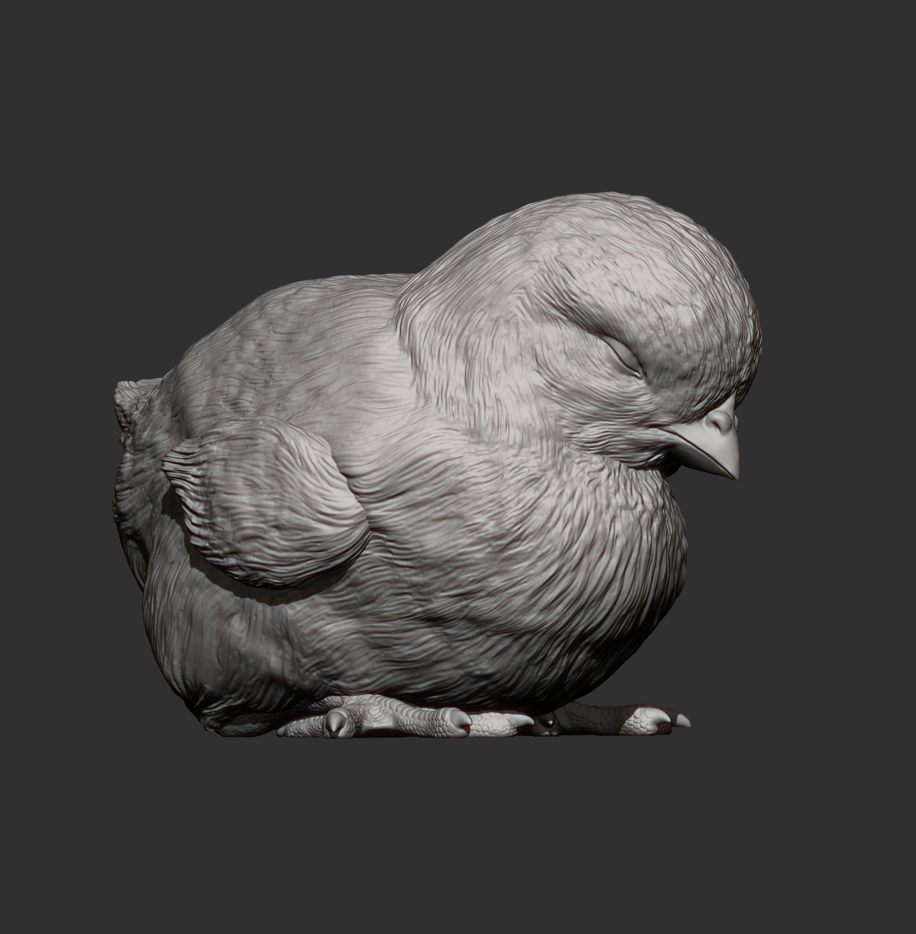 chick is sleeping 3D print model_10