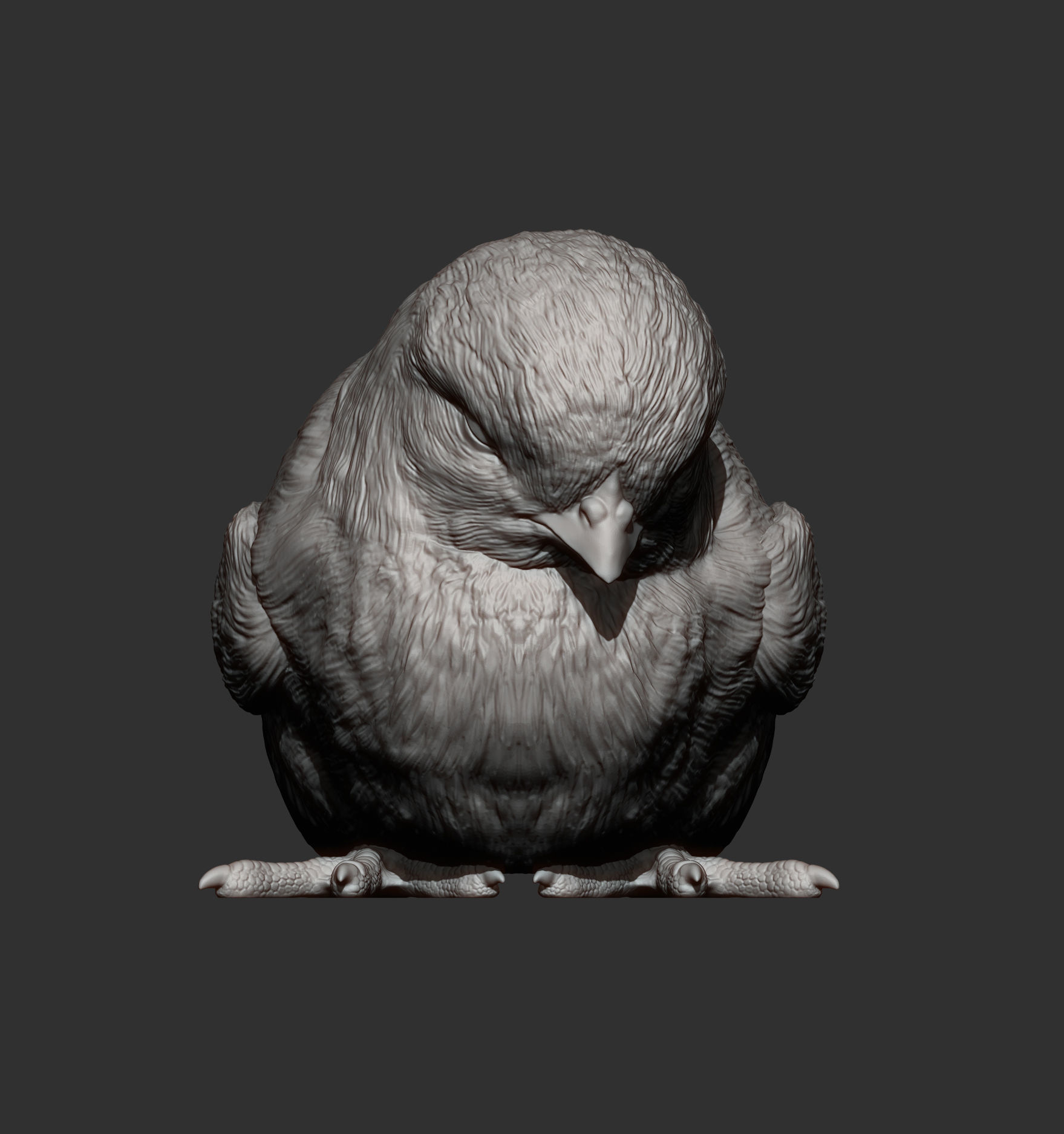 chick is sleeping 3D print model_6