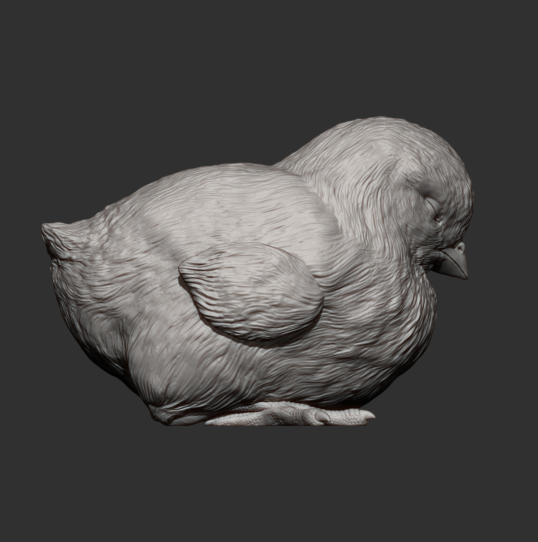 chick is sleeping 3D print model_8