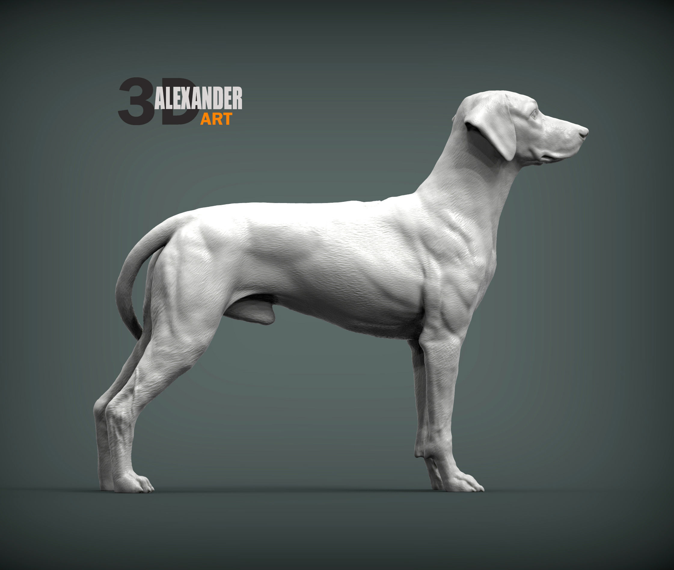 Rhodesian ridgeback 3D print model_5