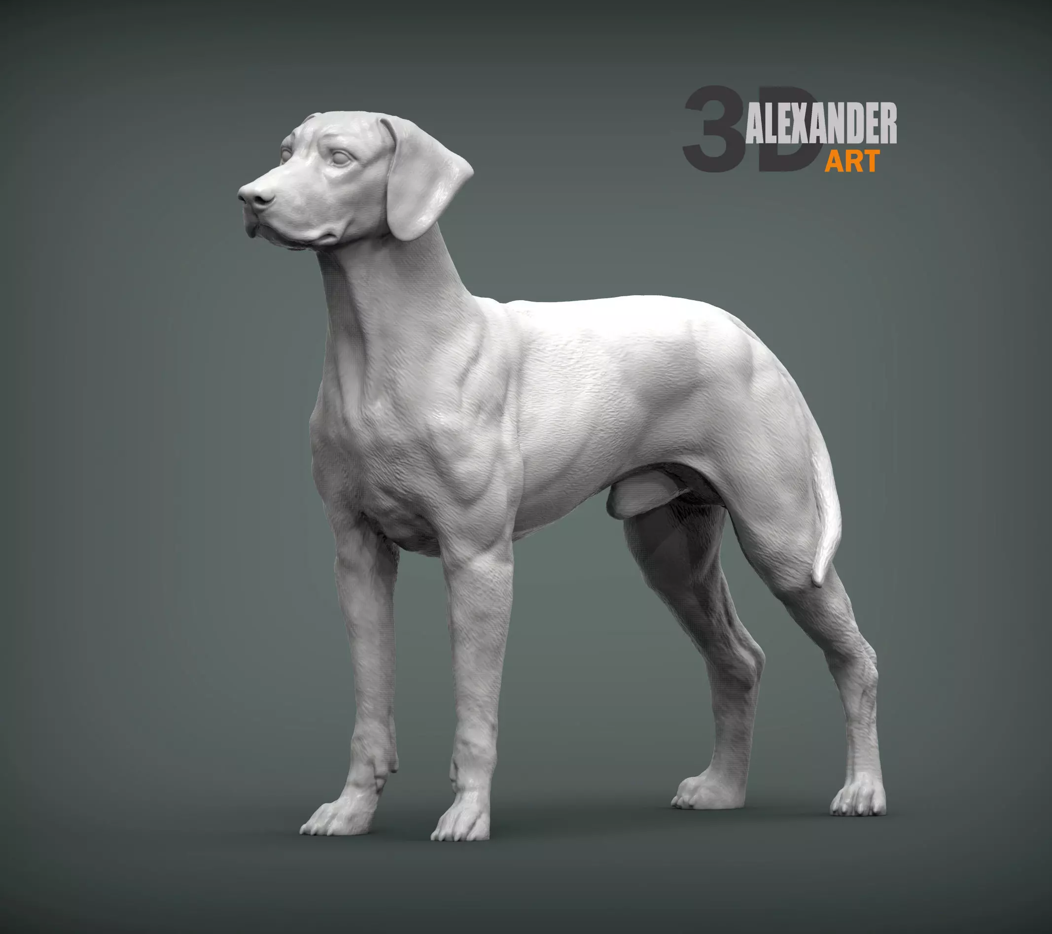 Rhodesian ridgeback 3D print model_0