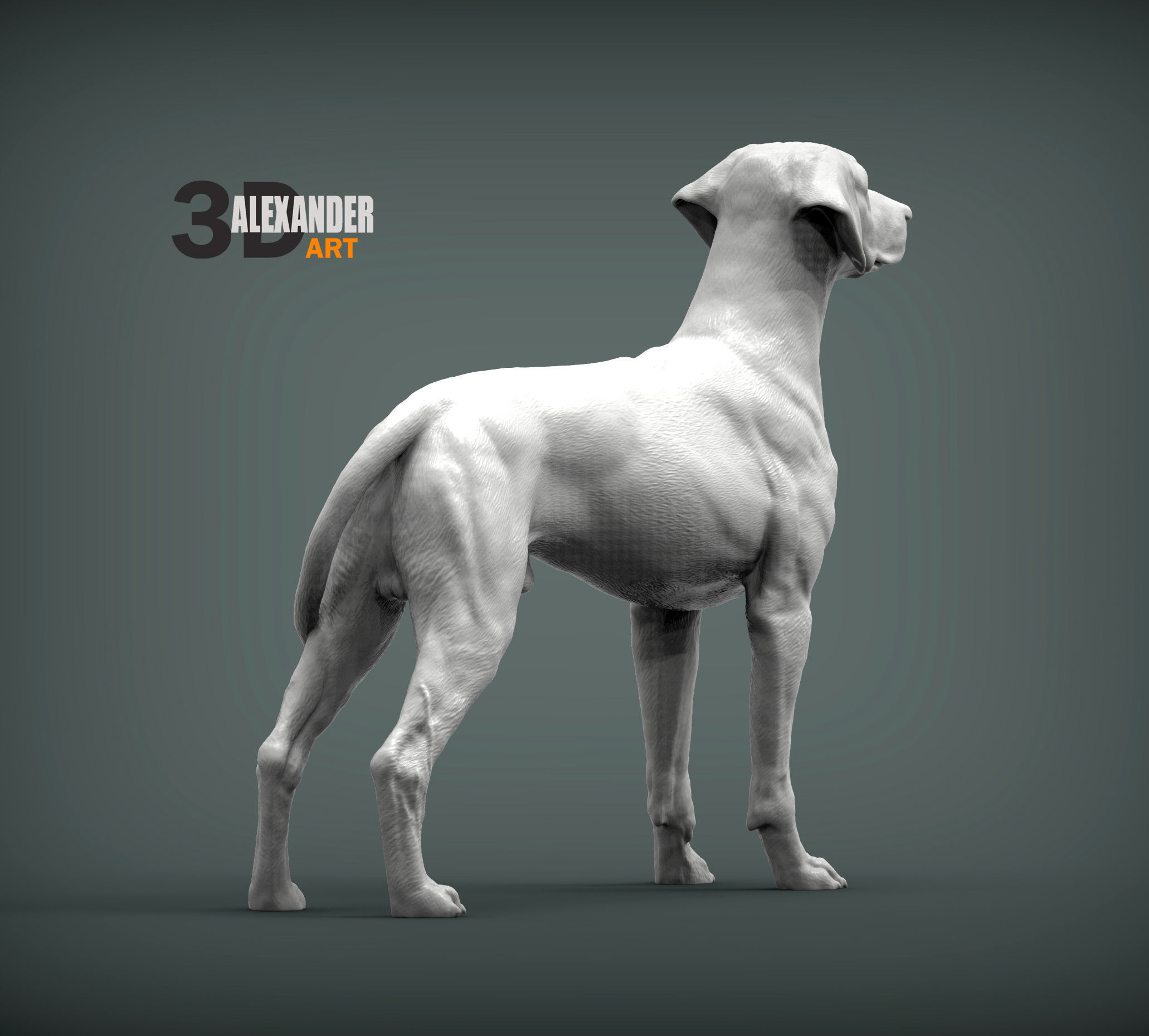 Rhodesian ridgeback 3D print model_6