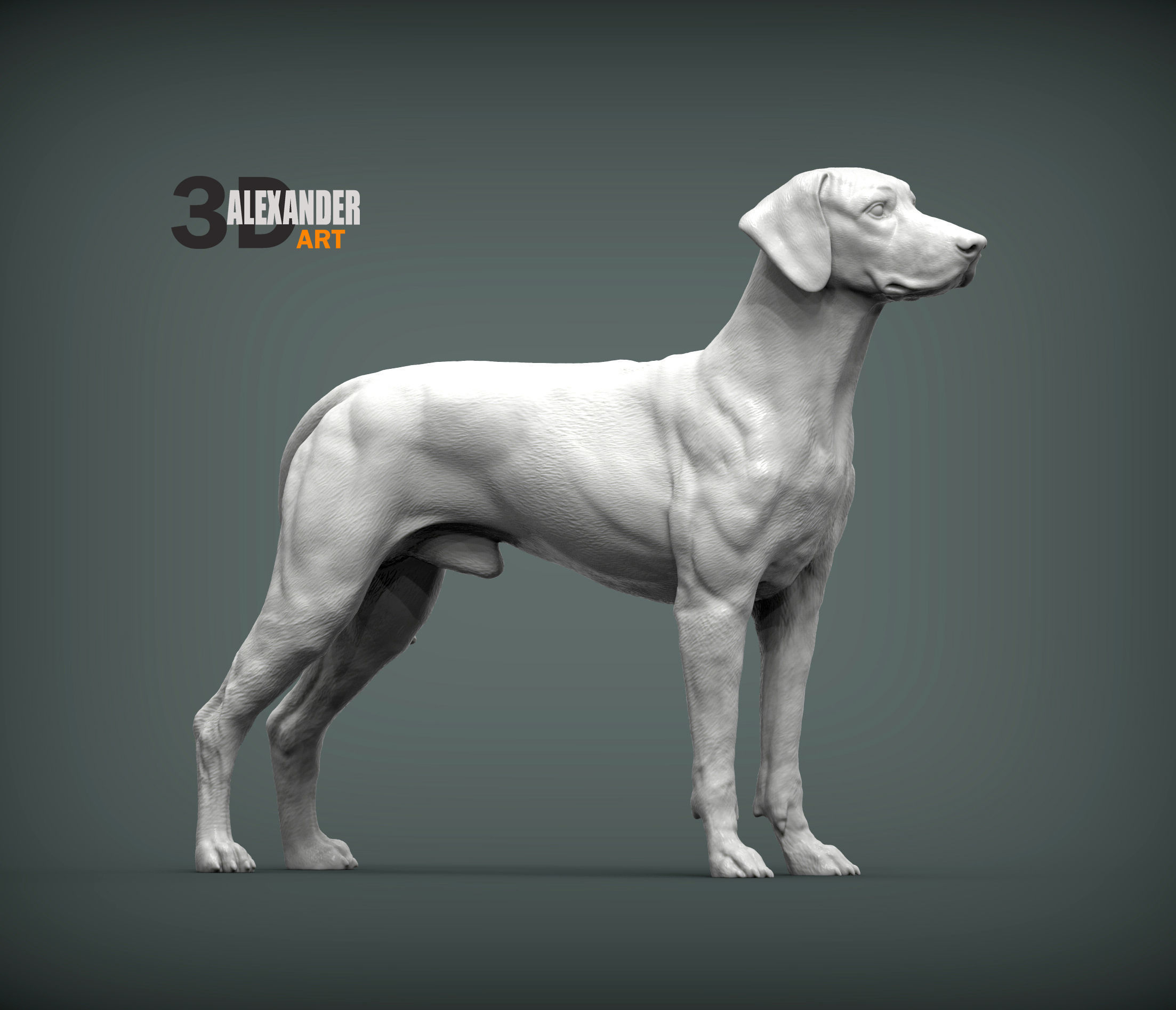 Rhodesian ridgeback 3D print model_4
