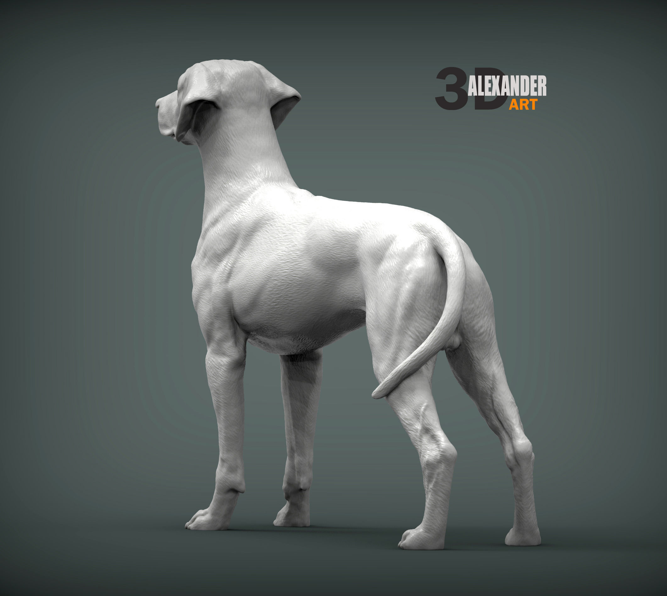 Rhodesian ridgeback 3D print model_2
