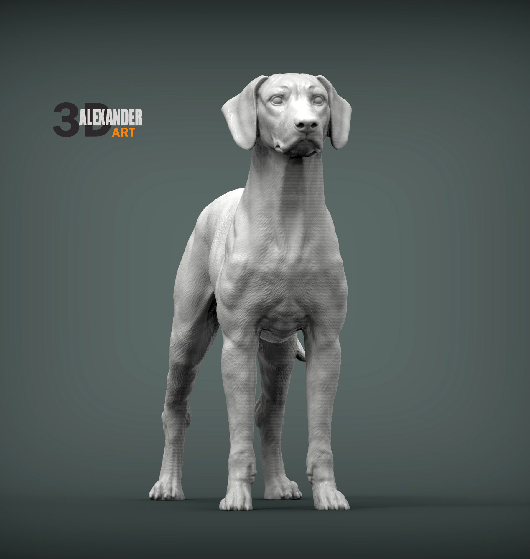 Rhodesian ridgeback 3D print model_1