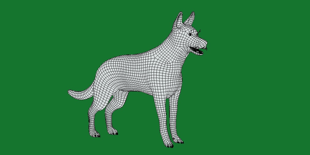 Belgian Shepherd Dog  Low-poly 3D model_10