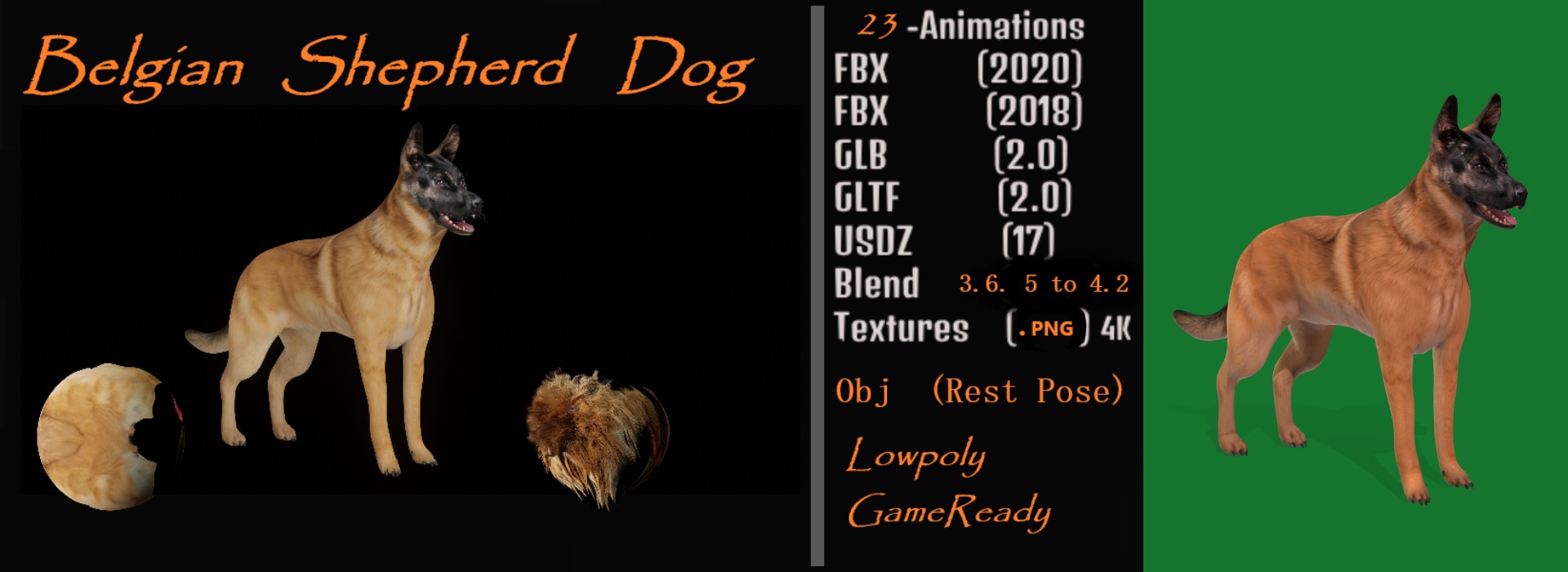 Belgian Shepherd Dog  Low-poly 3D model_16