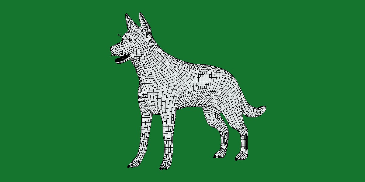 Belgian Shepherd Dog  Low-poly 3D model_9